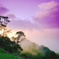 一碗牛肉海带汤里的韩国农村滋味