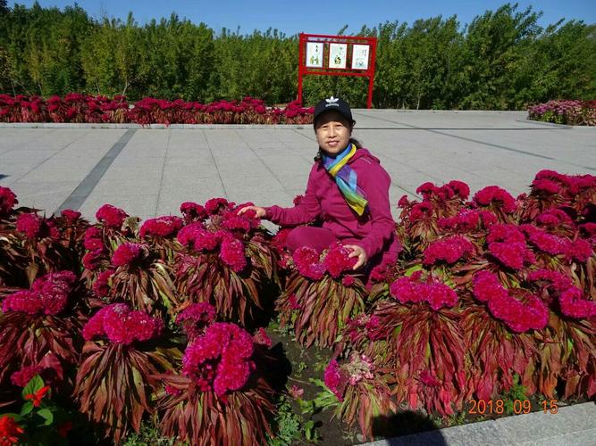 黑河秋行记 从锦河农场到红色边疆农场